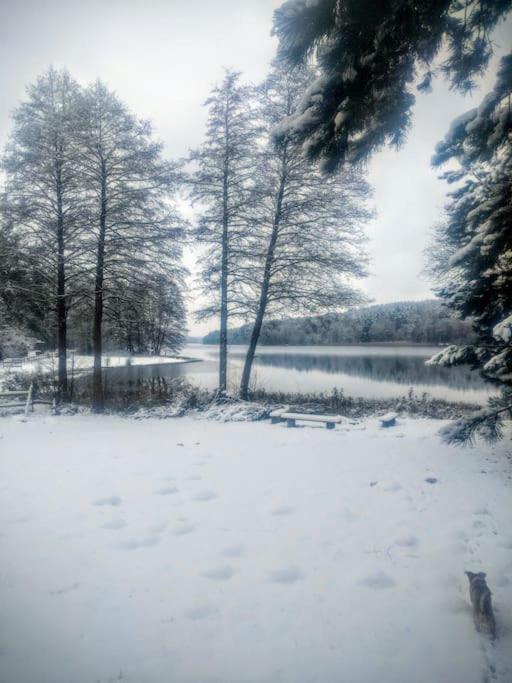 Przystanek Golubie Villa Buitenkant foto